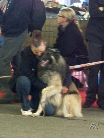 Pause calin 5307.JPG